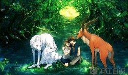 幽灵公主电影在线观看,探寻神秘森林的奇幻之旅